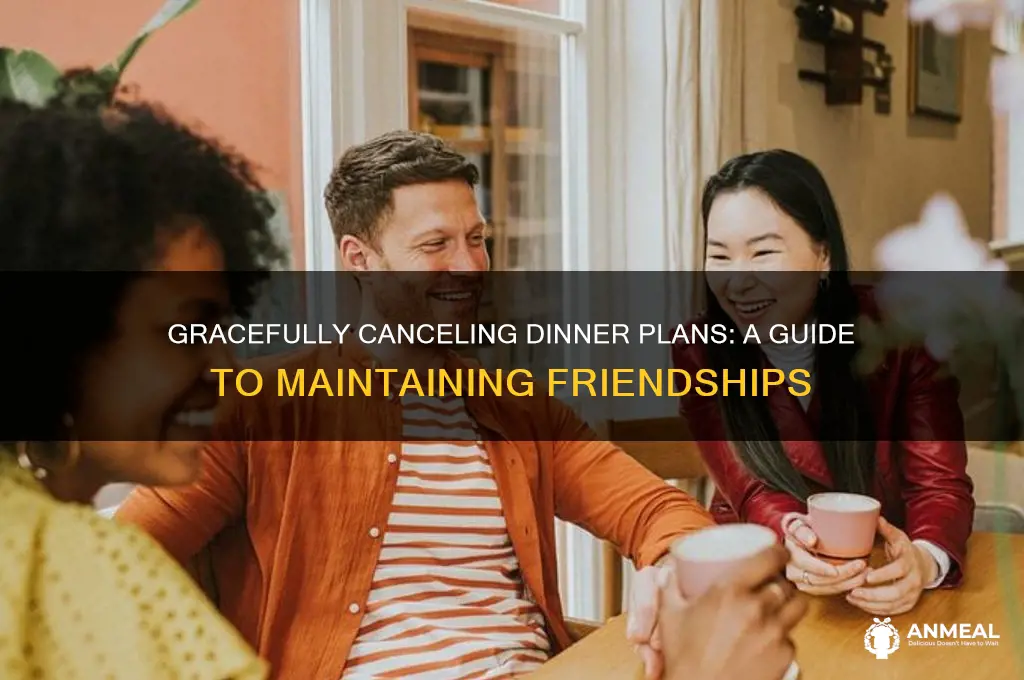 how to cancel dinner with friends