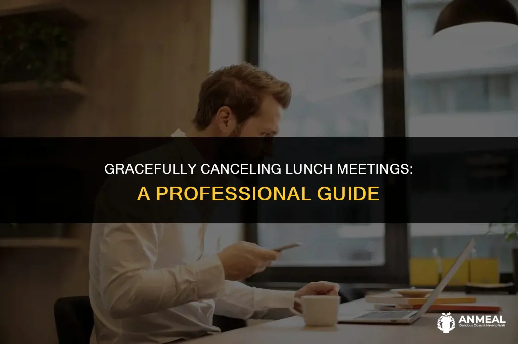 how to cancel lunch meeting