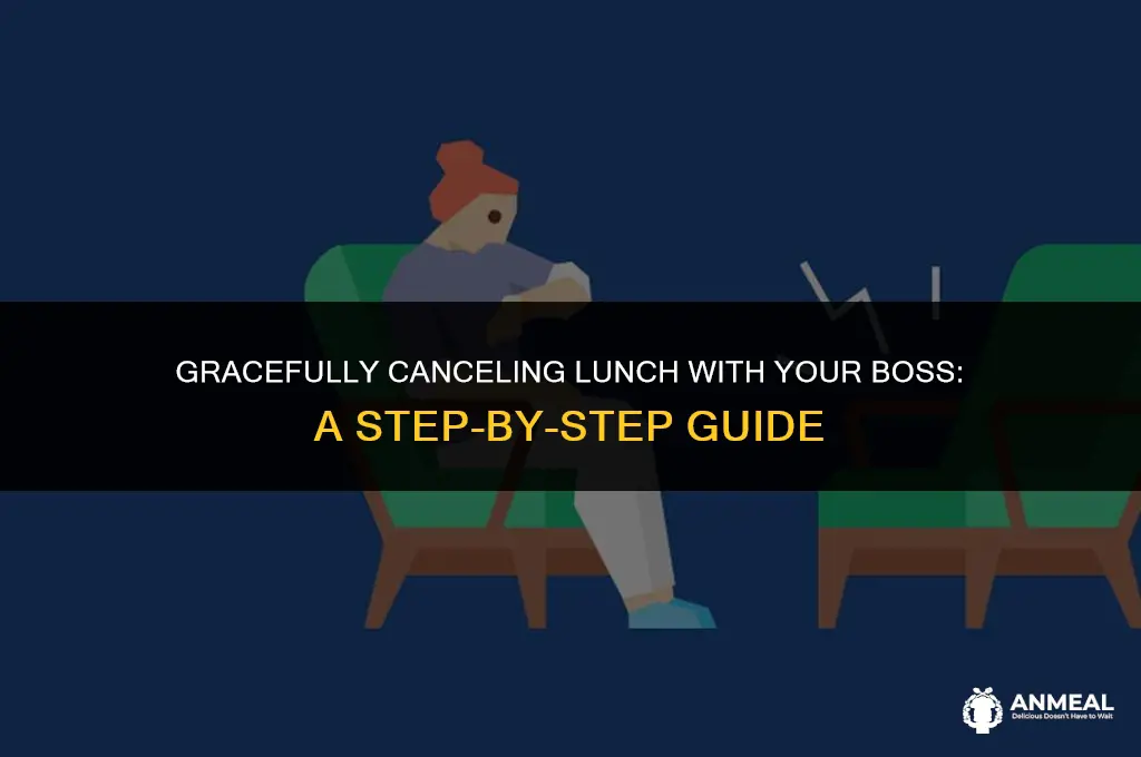 how to cancel lunch with your boss