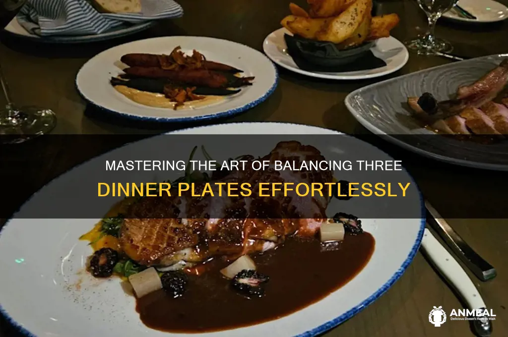 how to carry 3 dinner plates