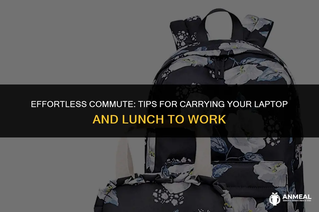 how to carry laptop and lunch to work