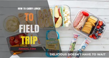 Pack Smart: Tips for Carrying Lunch on a Field Trip
