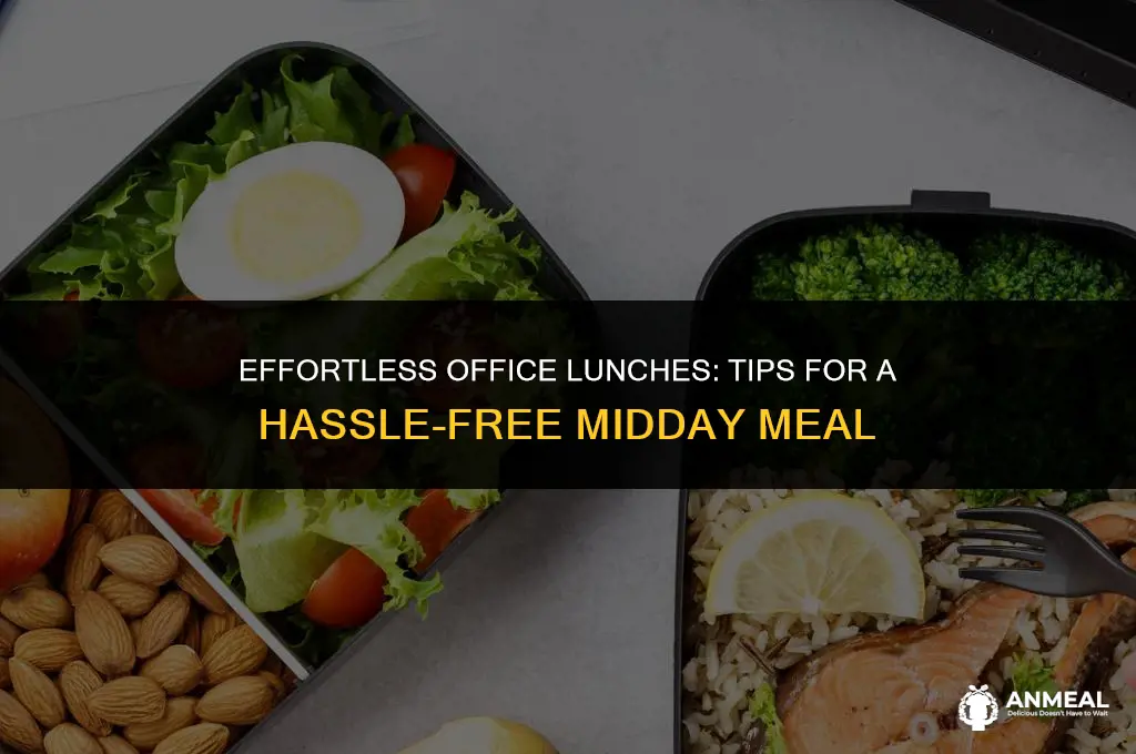 how to carry lunch to office