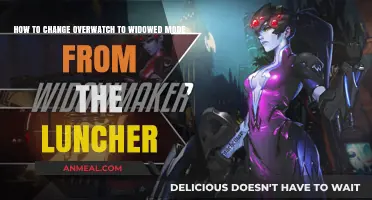 Switching Overwatch to Windowed Mode: A Quick Launcher Guide