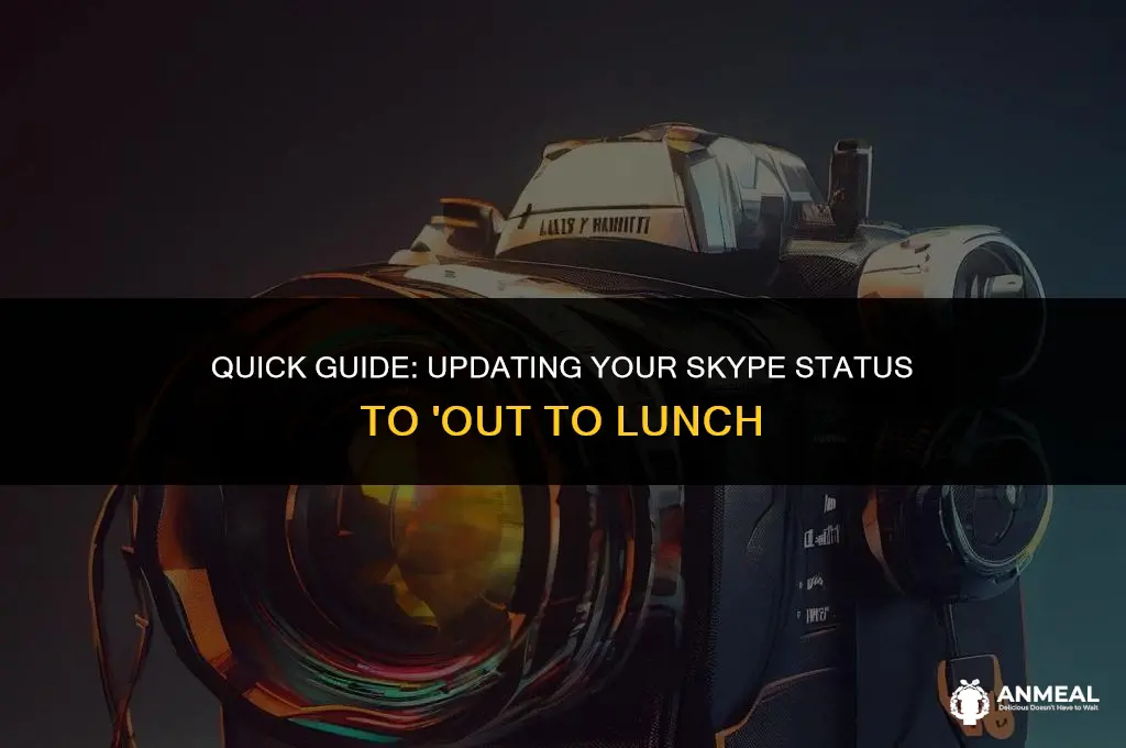 how to change status to out lunch on skype
