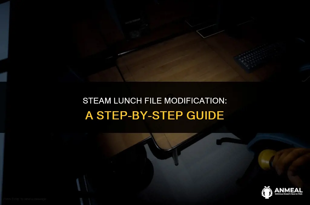 how to change the lunch file in steam