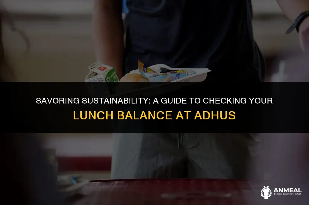 how to check balance of lunch at adhus