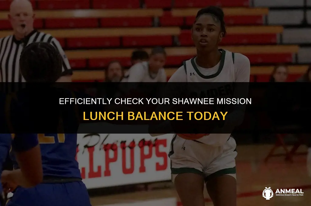 how to check current lunch money balance shawnee mission