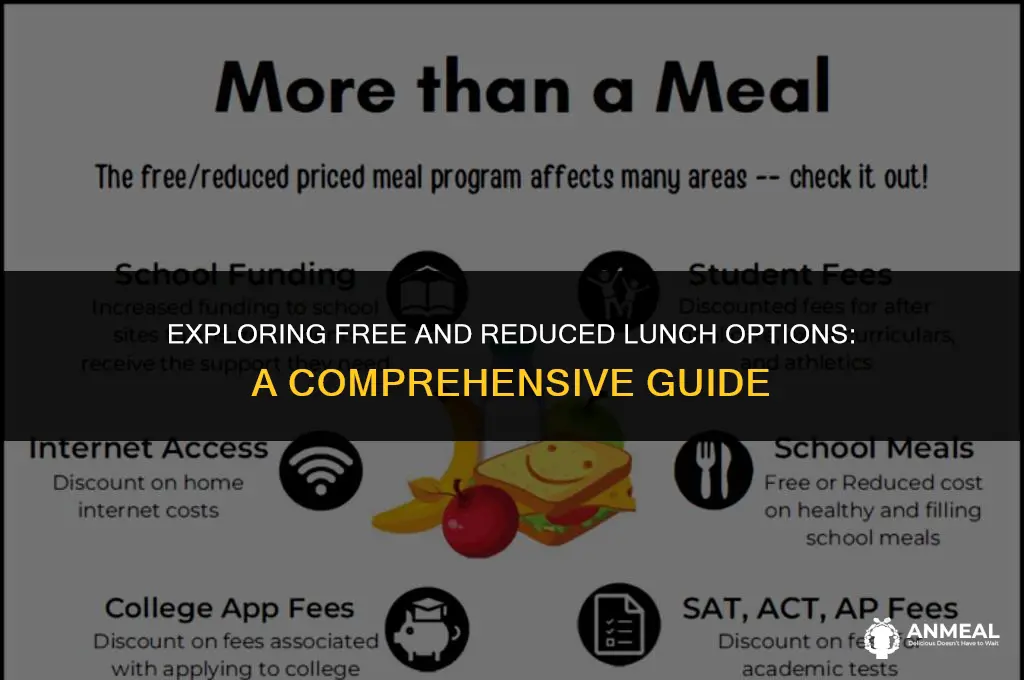 how to check free and reduced lunch application