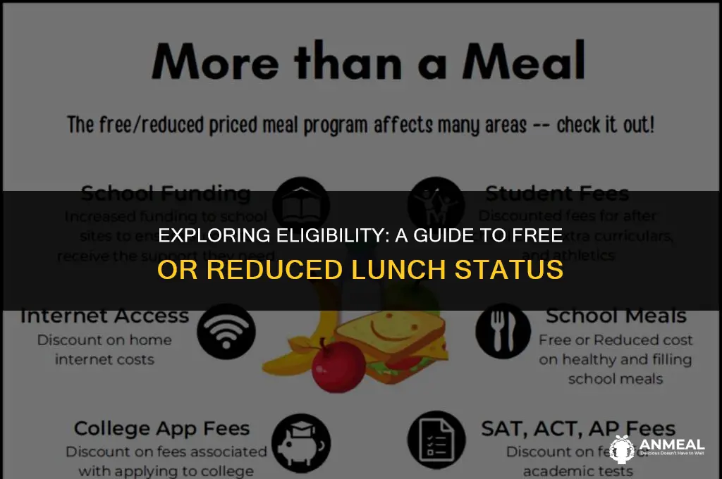 how to check free or reduced lunch status