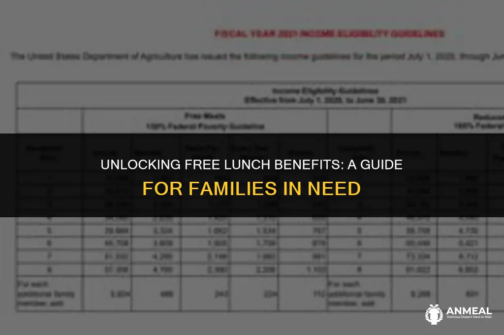 how to check if my child qualify for free lunch