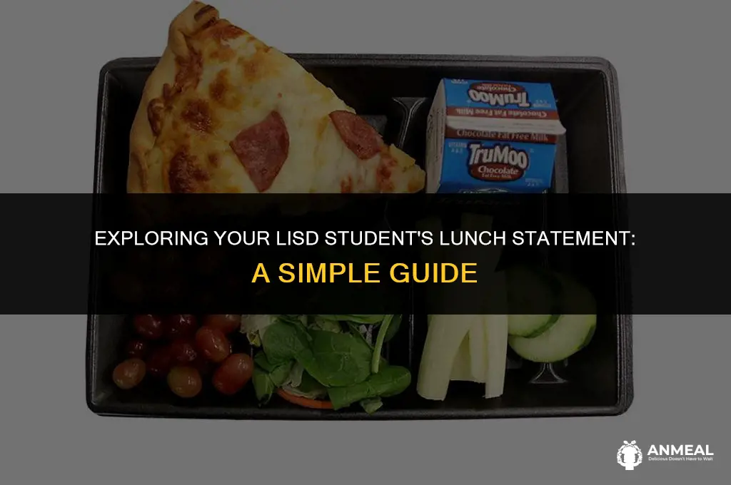 how to check lisd student lunch statement