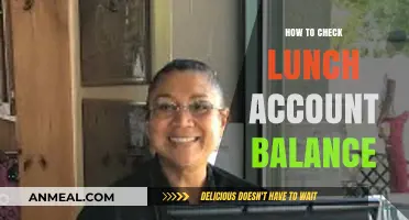 Easy Ways to Check Your Lunch Account Balance Online