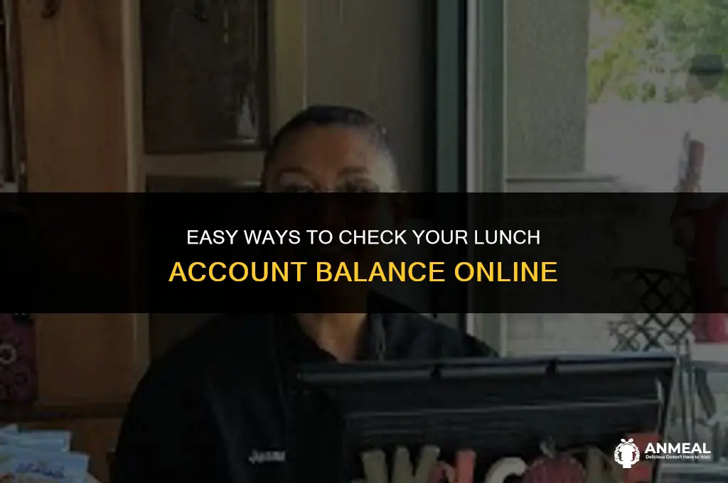 how to check lunch account balance