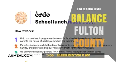 Fulton County School Lunch Balance: A Quick Guide for Parents