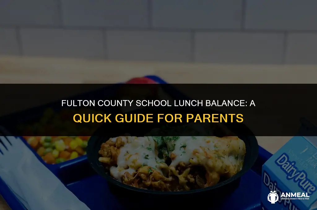 how to check lunch balance fulton county