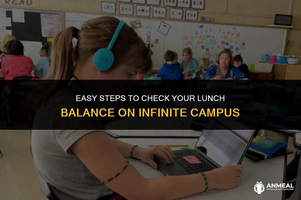 how to check lunch balance on infinite campus