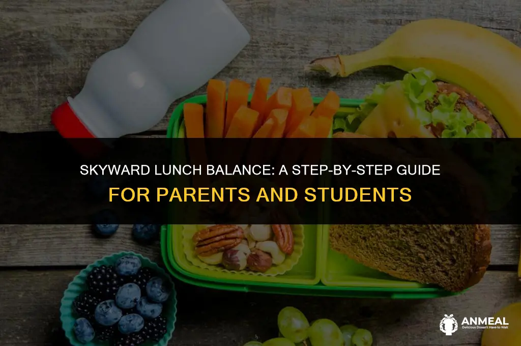 how to check lunch balance on skyward