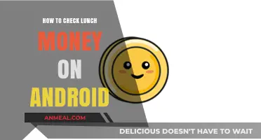 Android Lunch Money: How to Check Your Balance Easily