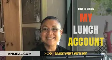 Easy Steps to Check Your Lunch Account Balance Online