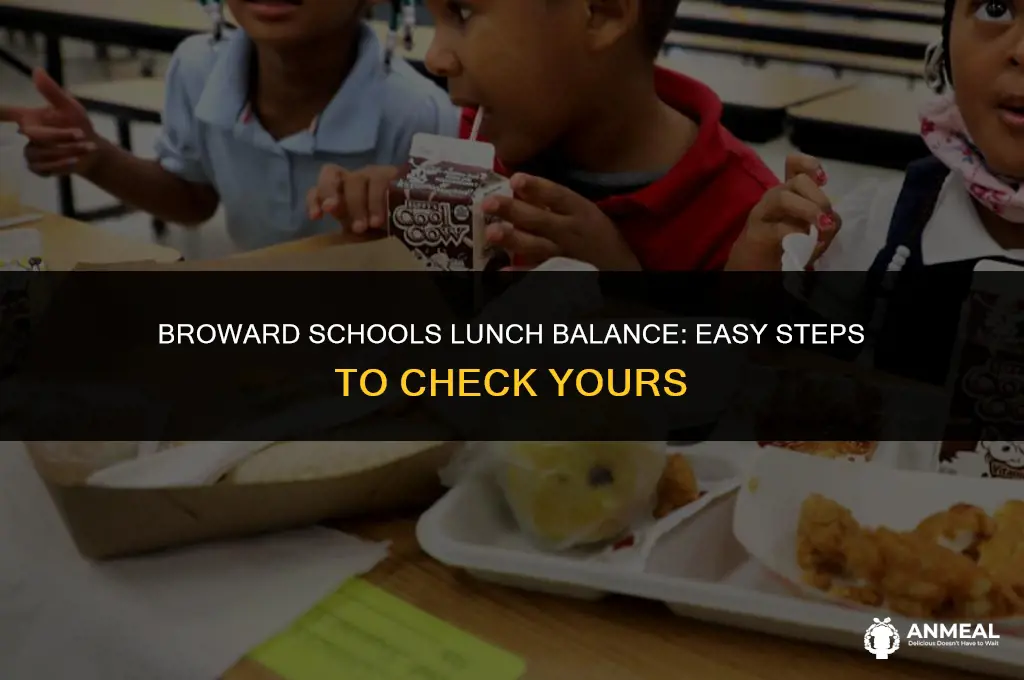 how to check your lunch balance broward schos