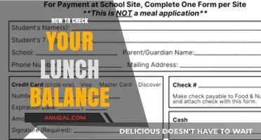 Easy Steps to Check Your Lunch Balance Online