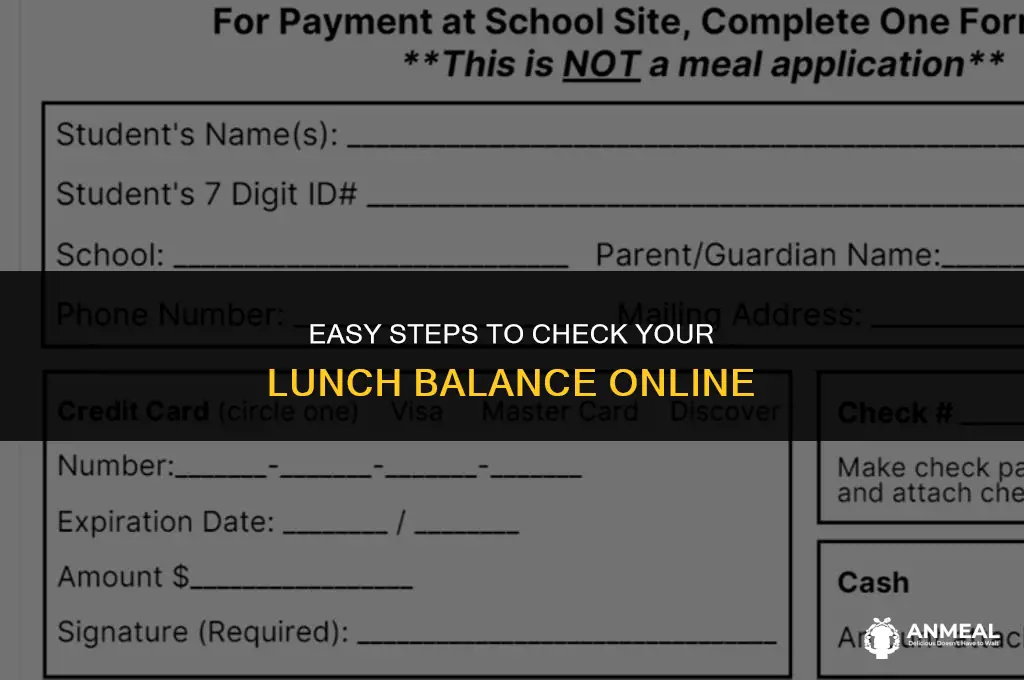 how to check your lunch balance