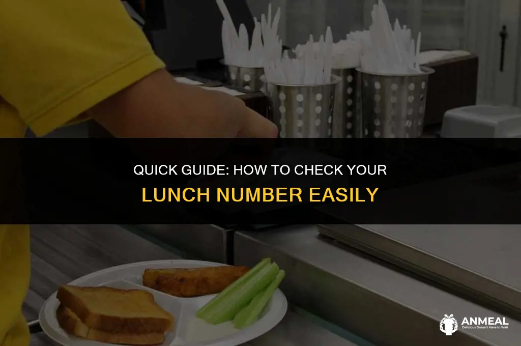 how to check your lunch number