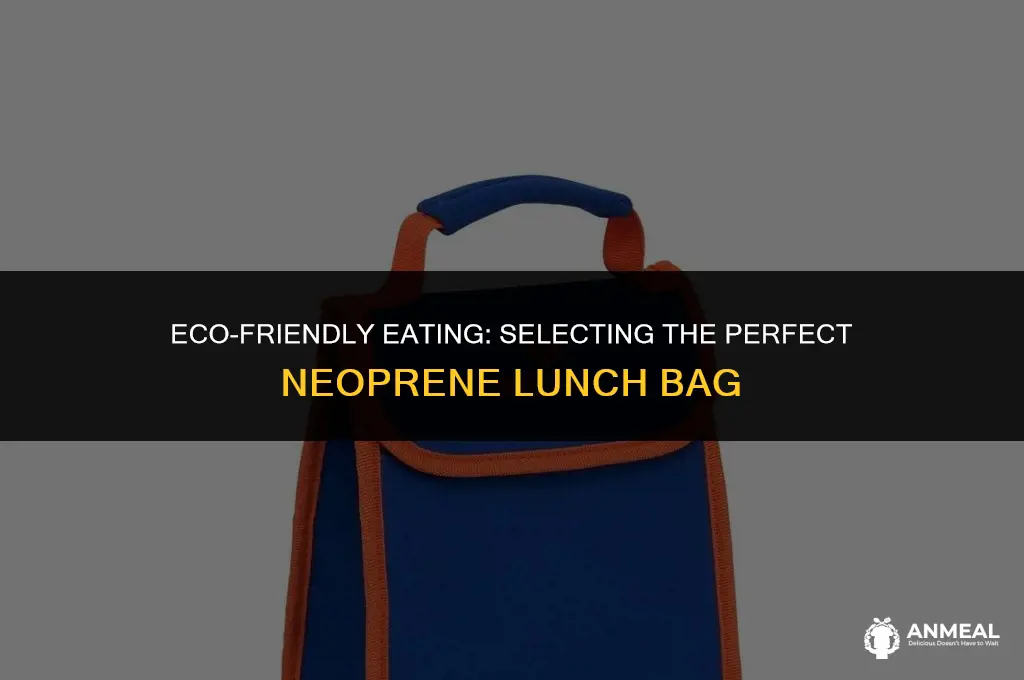 how to choose a neoprene lunch bag