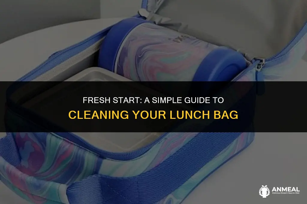 how to clean 31 lunch bag