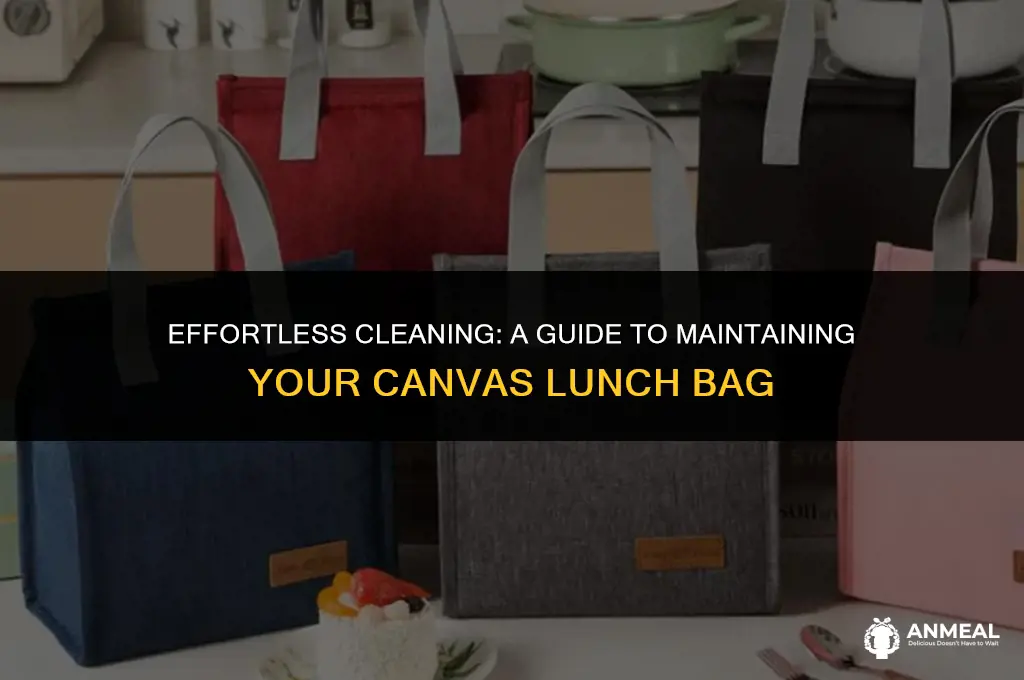 how to clean a canvas lunch bag