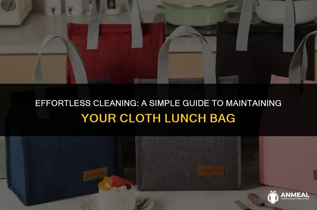 how to clean a cloth lunch bag