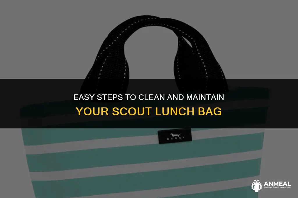 how to clean a scout lunch bag