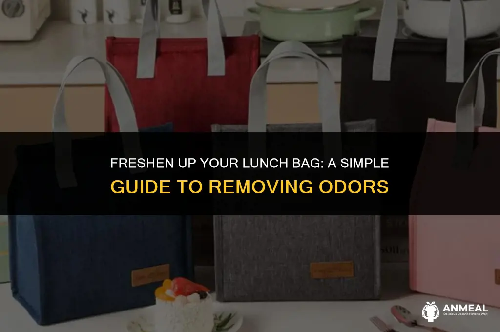 how to clean a smelly lunch bag