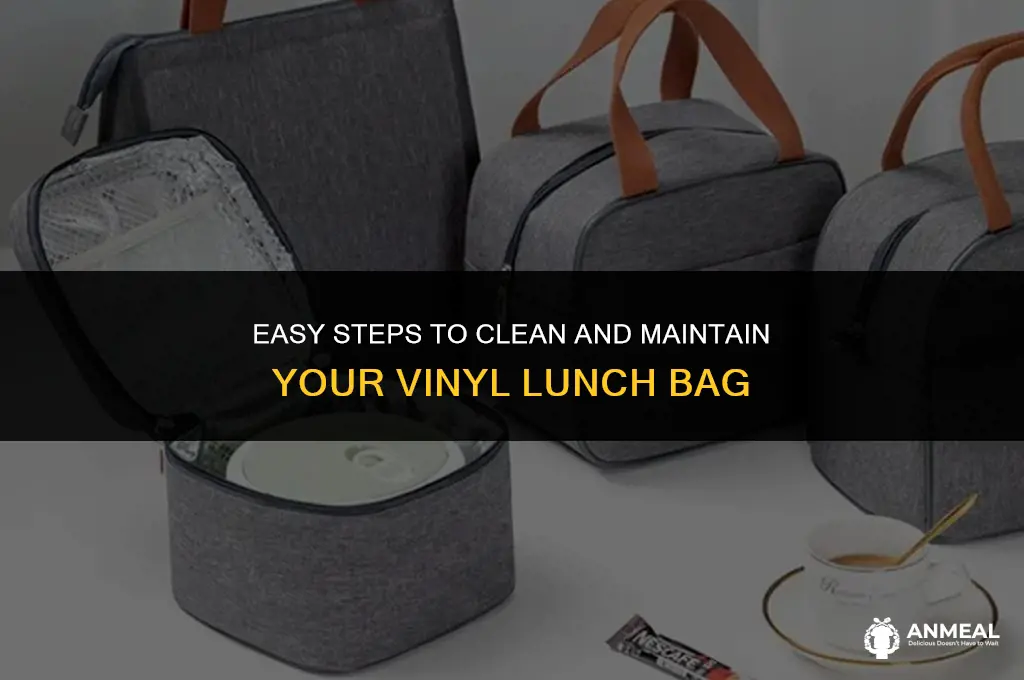 how to clean a vinyl lunch bag