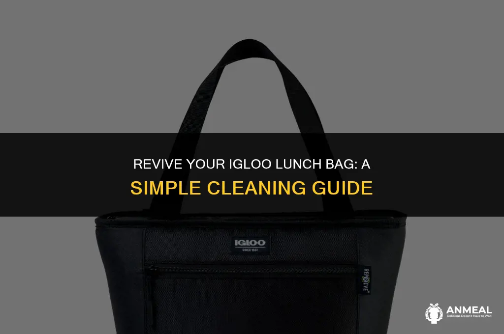 how to clean an igloo lunch bag