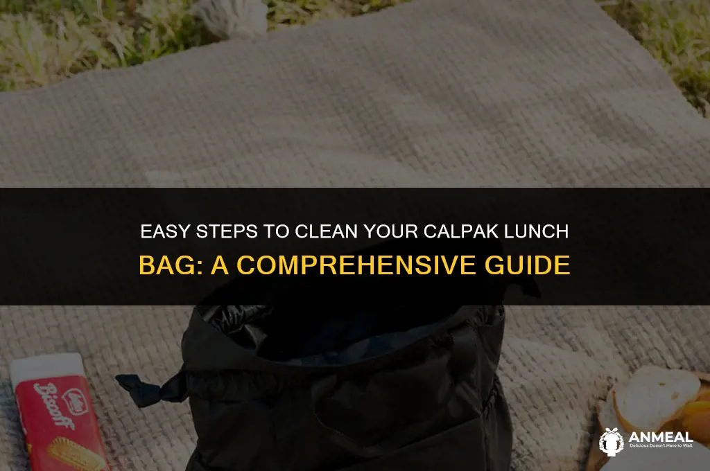 how to clean calpak lunch bag