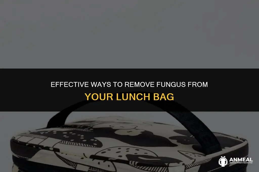 how to clean fungus from lunch bag
