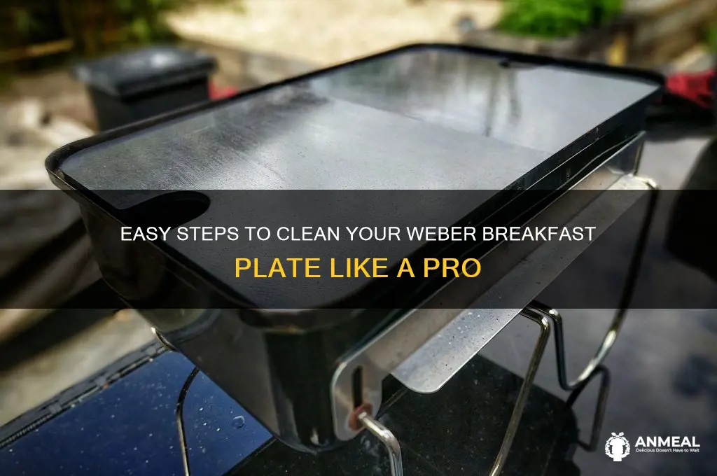 how to clean weber breakfast plate
