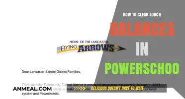 Efficiently Managing Lunch Balances in PowerSchool: A Step-by-Step Guide