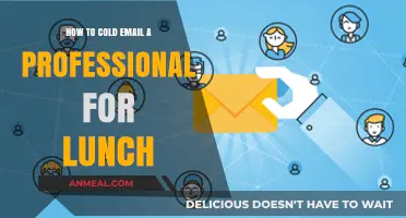 Networking Over Lunch: Crafting the Perfect Cold Email to Professionals