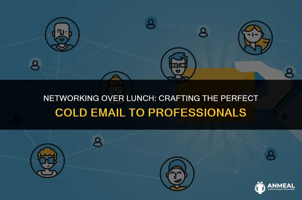 how to cold email a professional for lunch