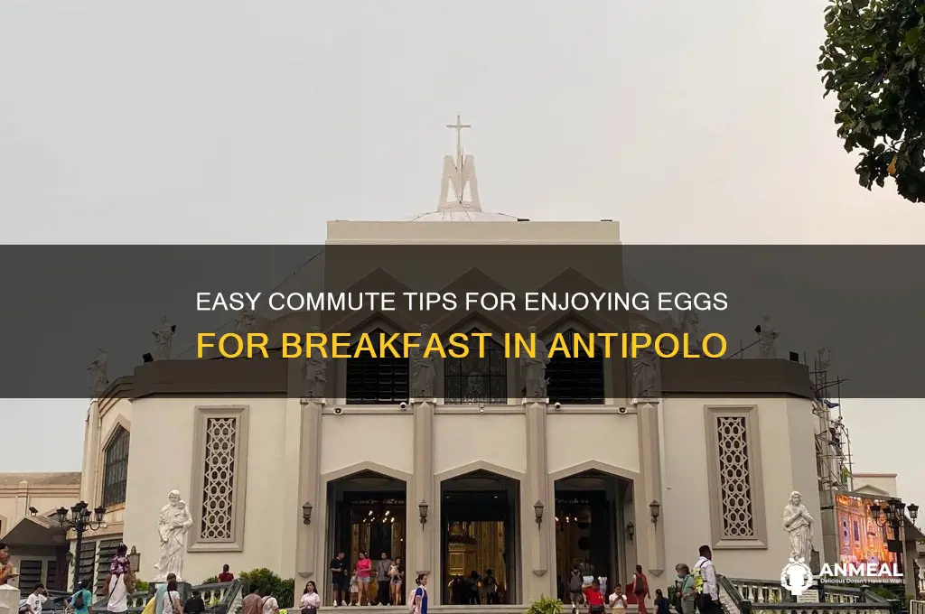 how to commute to eggs for breakfast antipolo