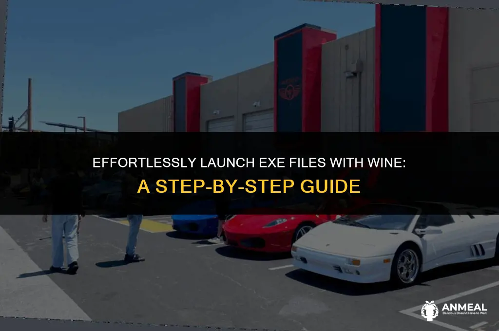 how to configure wine to auto lunch exe