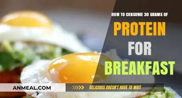 Protein-Packed Breakfast Ideas: Easy Ways to Get 30g Daily