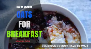Delicious Oatmeal Breakfast Ideas: Simple, Healthy, and Quick Recipes