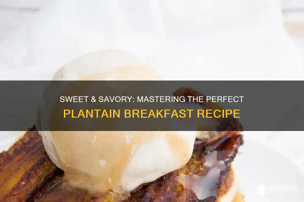how to cook a plaintain for breakfast
