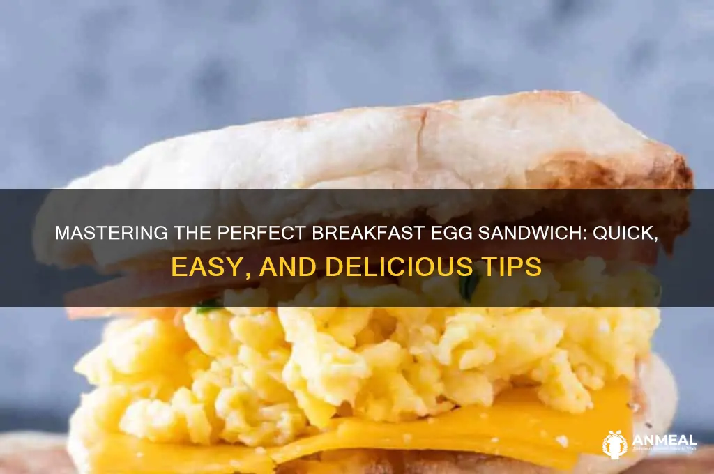 how to cook breakfast egg sandwismxh