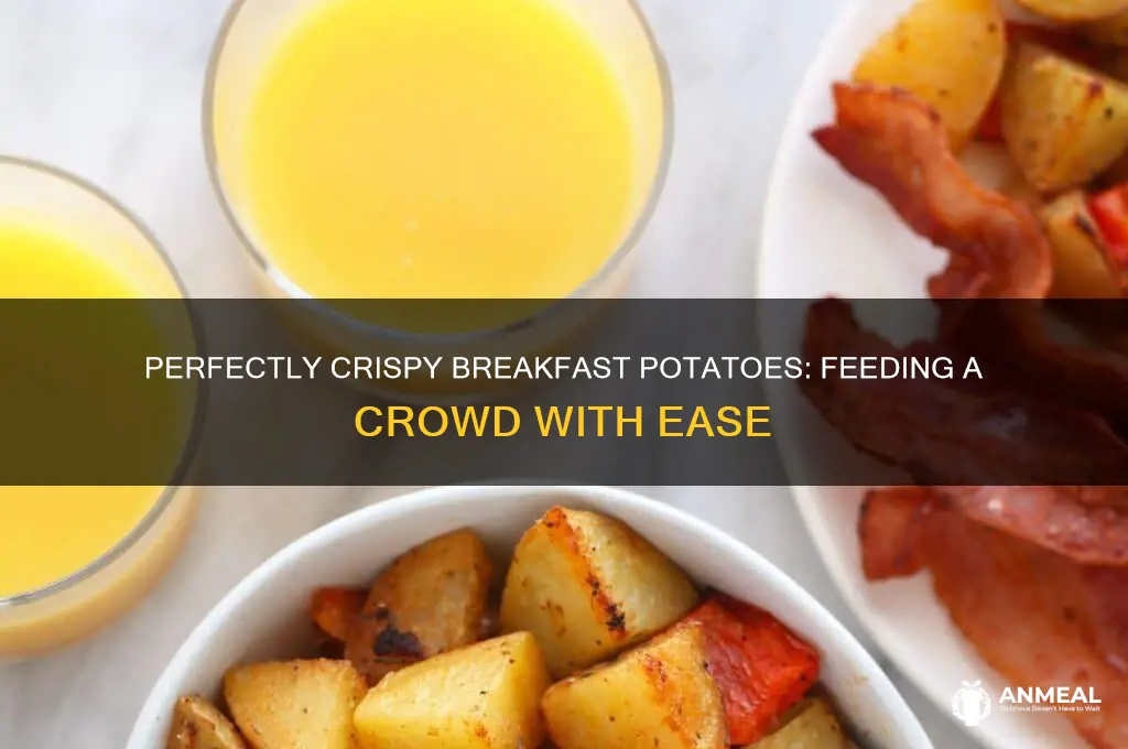 how to cook breakfast potatoes for a crowd