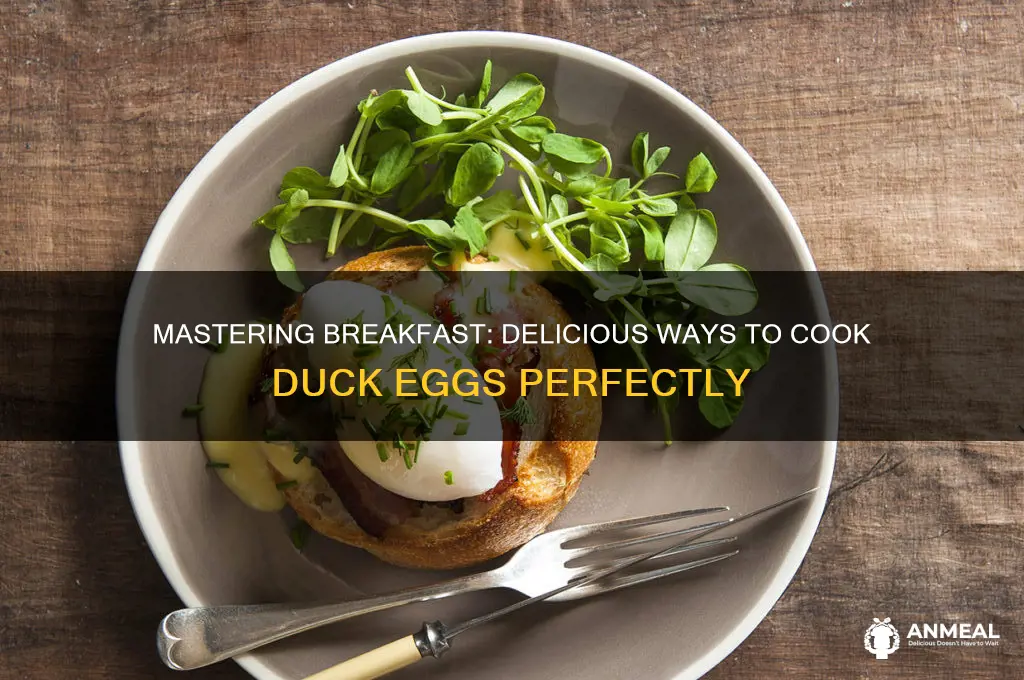how to cook duck eggs for breakfast